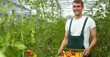 Apply Now for Farm Employment Opportunities in the USA with Visa Support.