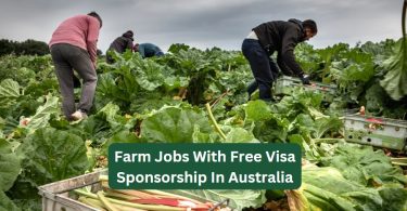 Farm Jobs With Free Visa Sponsorship In Australia