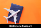 Diplomatic visa to Brazil | Cost, Requirements, How to Apply