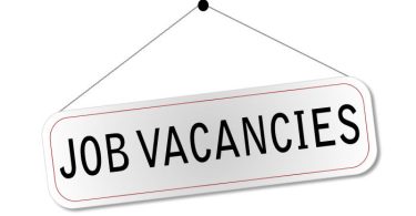 Sales Executive needed at Padoserve Limited