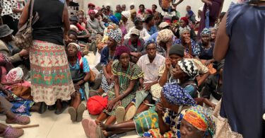 Flowchart showing the step-by-step process to apply for Namibia government grants